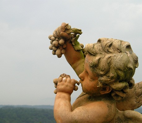 账号交易网的cc攻击工具